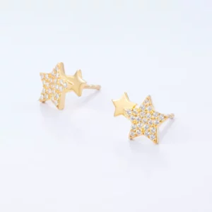 Microzircon Star Earring Stud